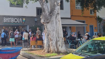 Bambola Gelato