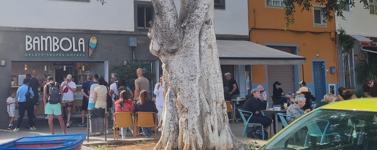 Bambola Gelato