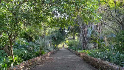 Botanical Garden (Puerto de la Cruz)