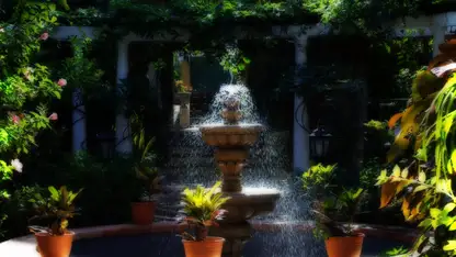 Little’s Place Garden