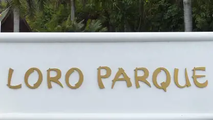 Loro Parque